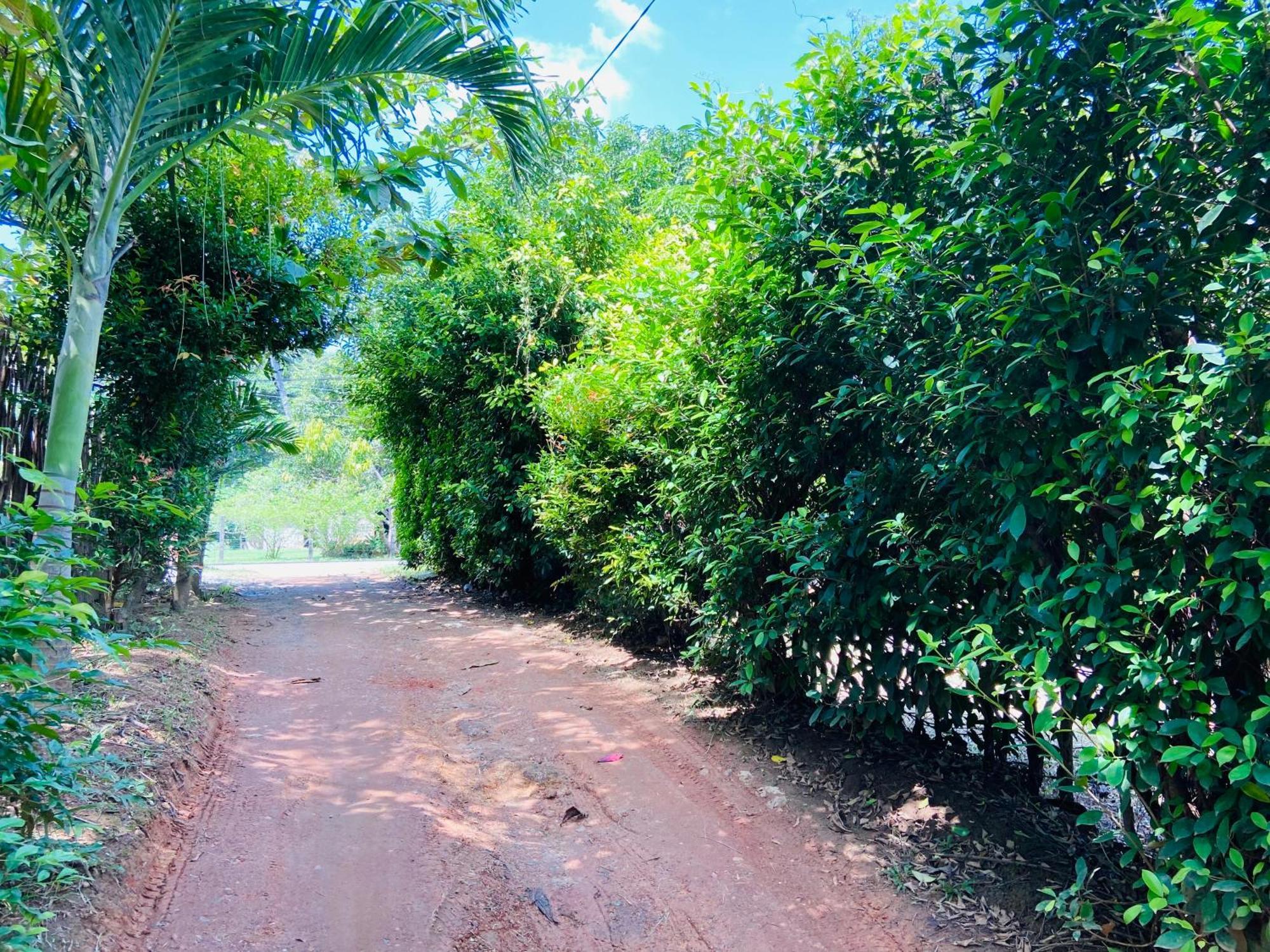 Leo Homestay Dikwella Sur Exterior foto