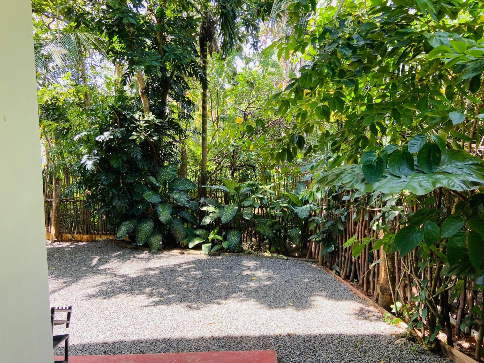 Leo Homestay Dikwella Sur Exterior foto