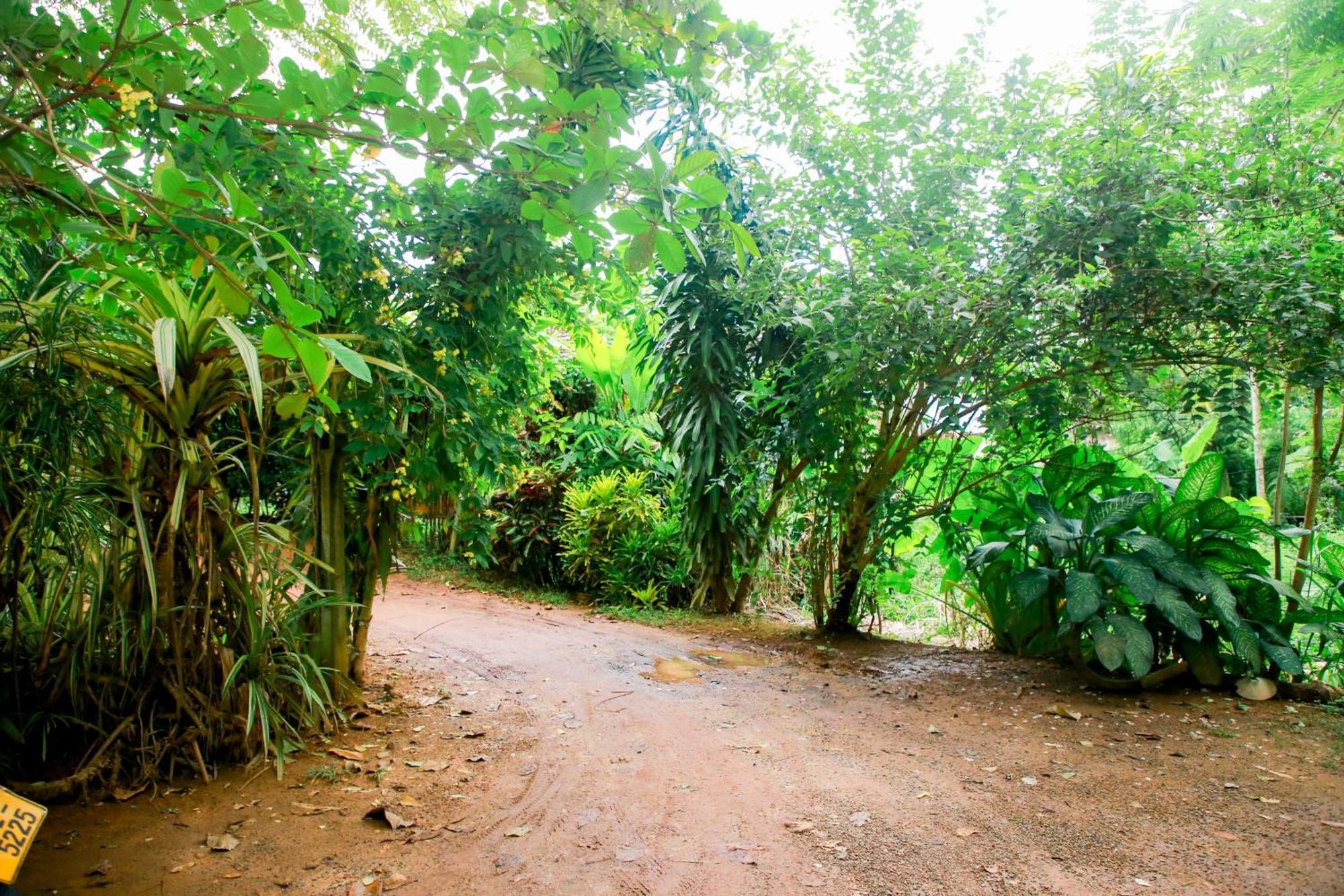 Leo Homestay Dikwella Sur Exterior foto