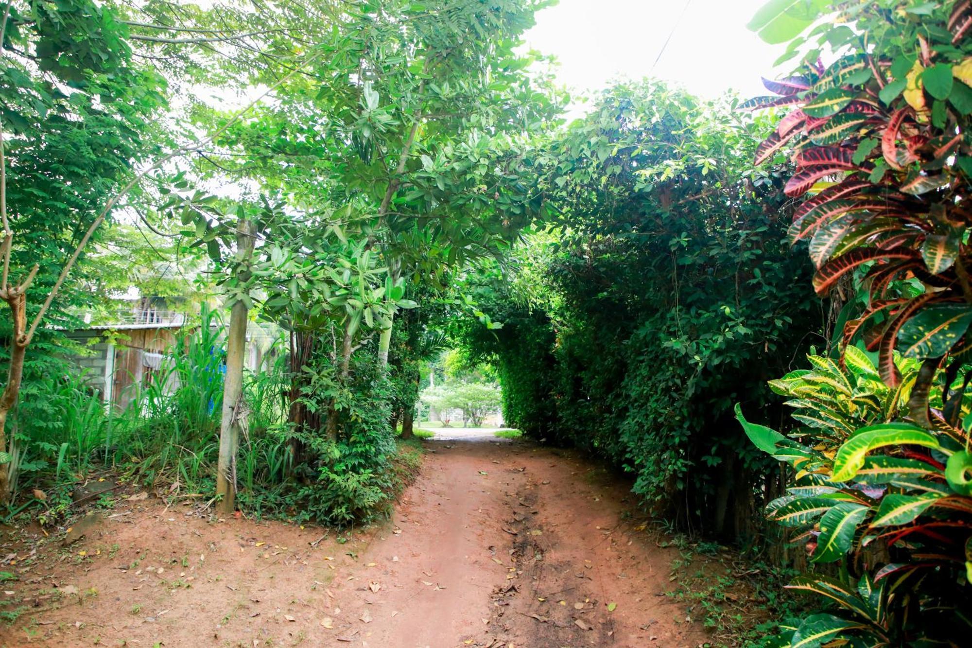 Leo Homestay Dikwella Sur Exterior foto