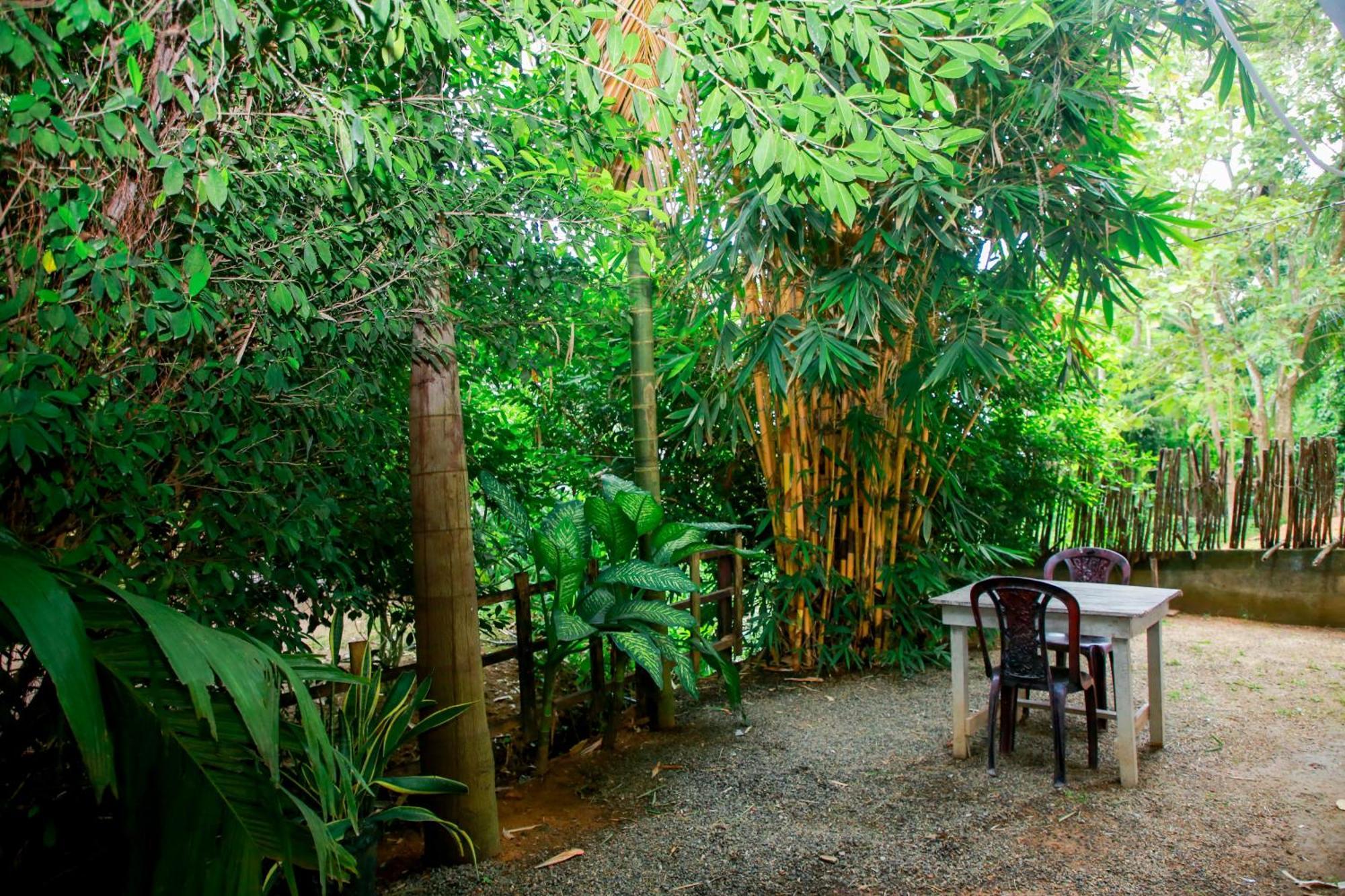 Leo Homestay Dikwella Sur Exterior foto