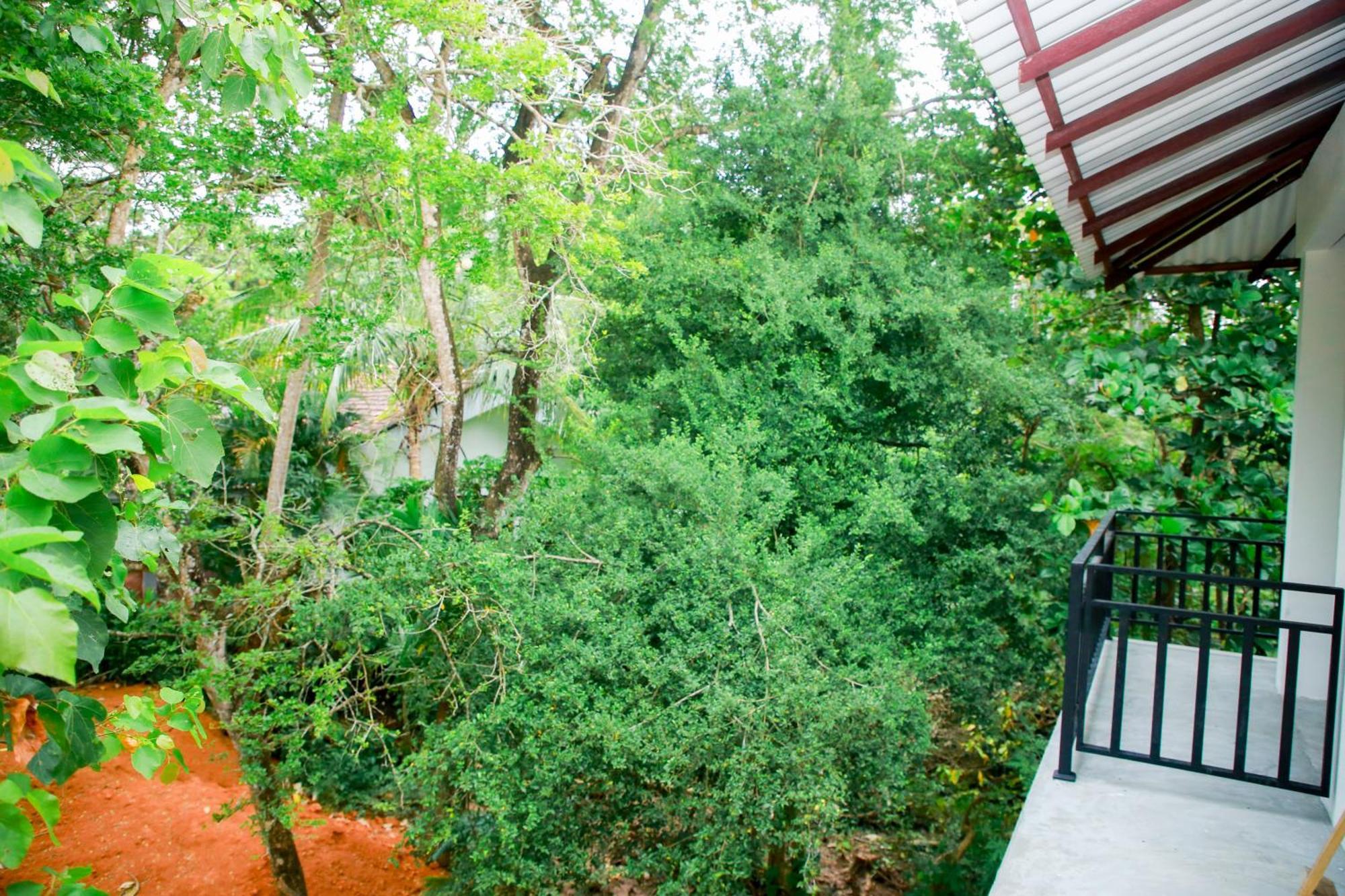 Leo Homestay Dikwella Sur Exterior foto